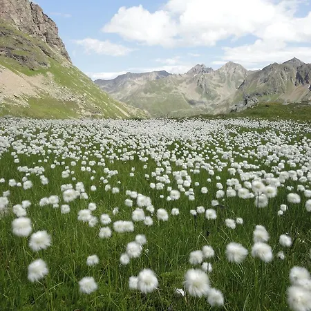 Ganderhof Sankt Anton am Arlberg